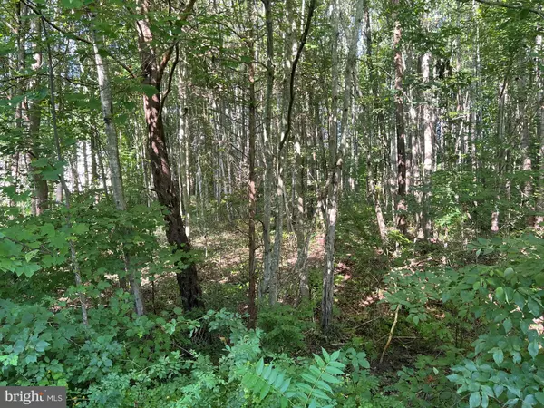 Bumpass, VA 23024,OVERTON DR