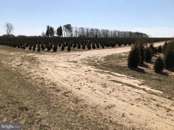 Millville, NJ 08332,0 MAIN STREET WEST