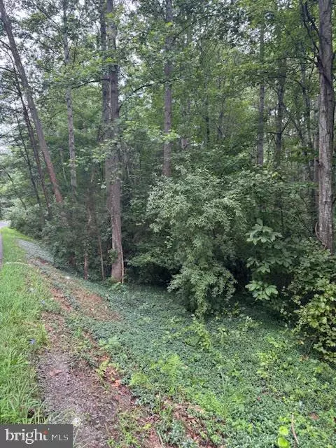 SCOTTS MILL, Culpeper, VA 22701