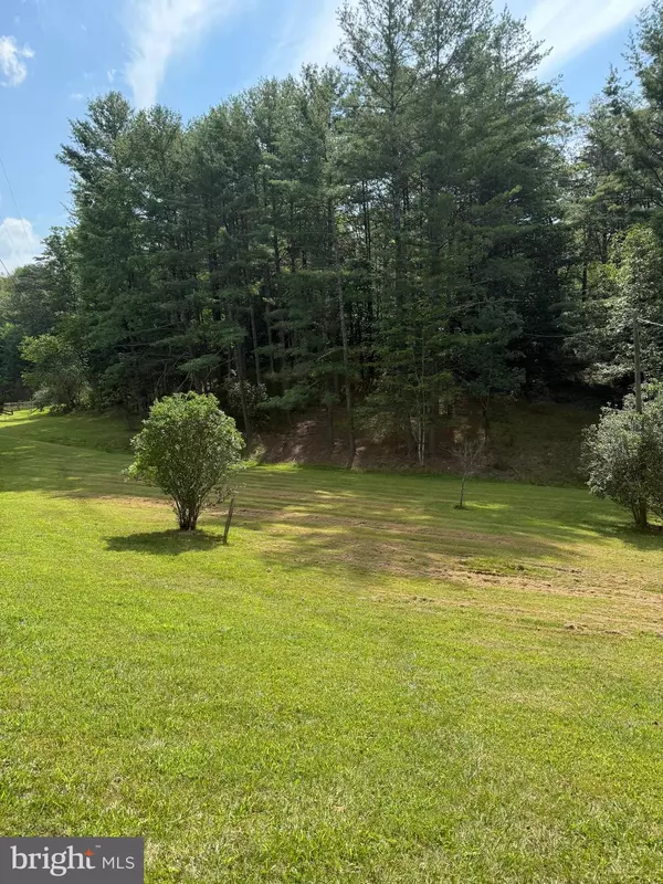 Edinburg, VA 22824,4081 WOLF GAP RD