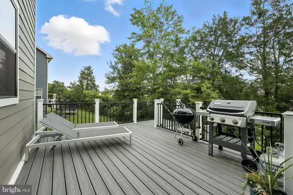 Aldie, VA 20105,24008 LITTLELEAF CT