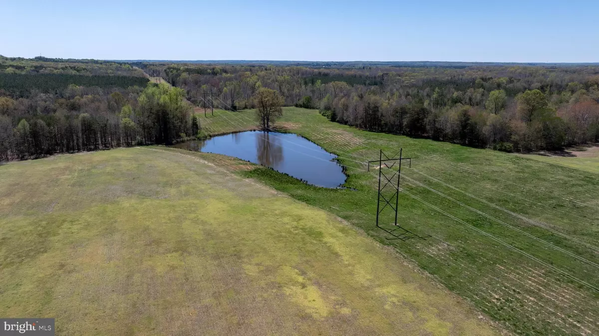 Farmville, VA 23901,TBD RAINES TAVERN ROAD #1