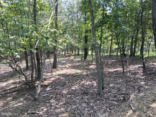 Berkeley Springs, WV 25411,LOT 84 ROUNDTOP LANE