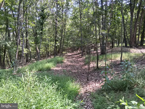 Berkeley Springs, WV 25411,LOT 84 ROUNDTOP LANE