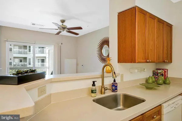 Herndon, VA 20170,2204 WESTCOURT LN #313
