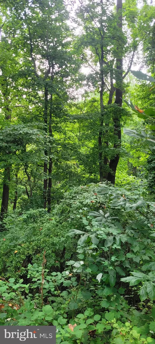 Tracys Landing, MD 20779,6281 FRANKLIN GIBSON RD