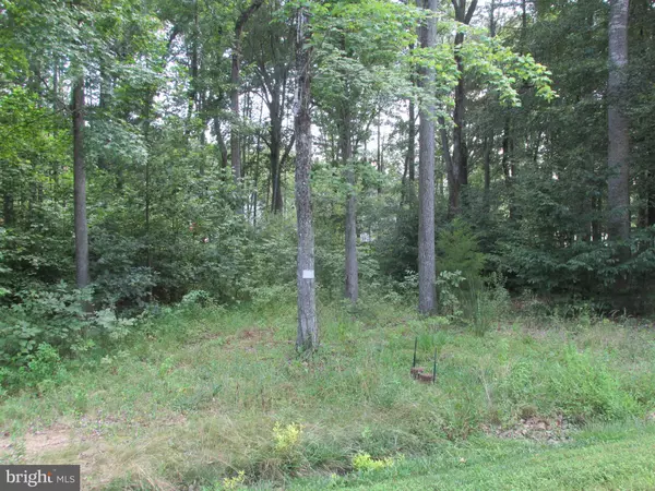 Bumpass, VA 23024,BLUE SKY WAY