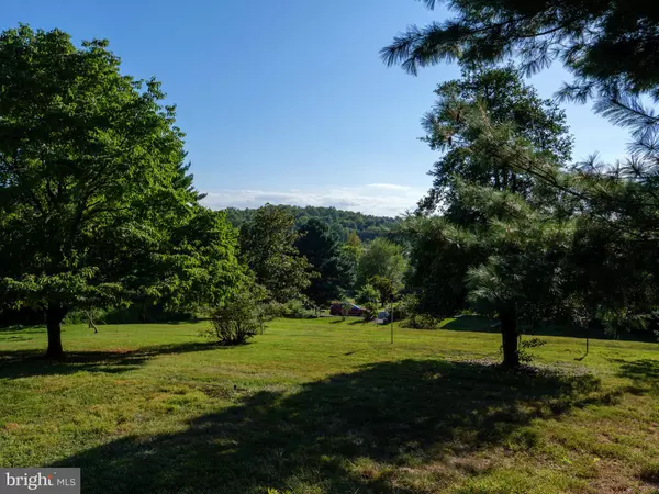 Paeonian Springs, VA 20129,17152 BRIDGE VIEW CT