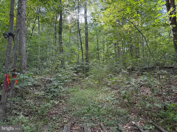 Berkeley Springs, WV 25411,QUAINT ACRES LN