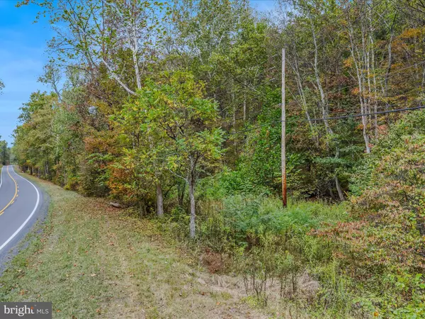 Great Cacapon, WV 25422,CACAPON RD