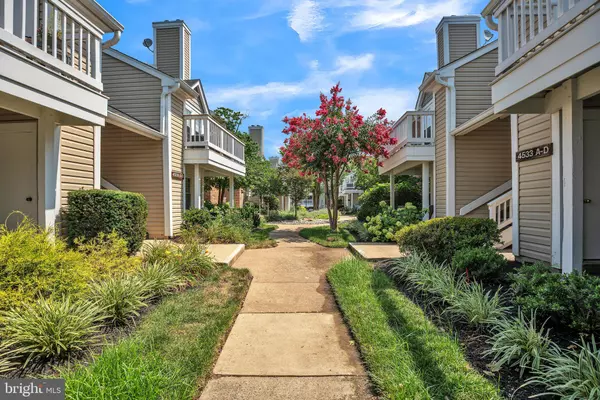 Arlington, VA 22206,4533 28TH RD S #9-12