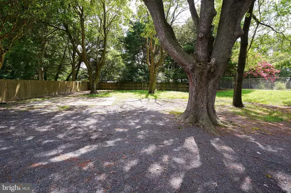 Salisbury, MD 21804,530 E LINCOLN AVE