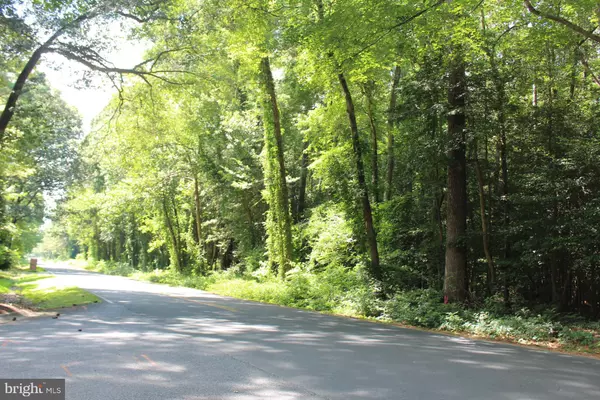 Salisbury, MD 21804,LOT 2 PARCEL 265 JACKSON ROAD