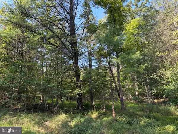 Howard, PA 16841,LOT ON SCHENCKS GROVE RD