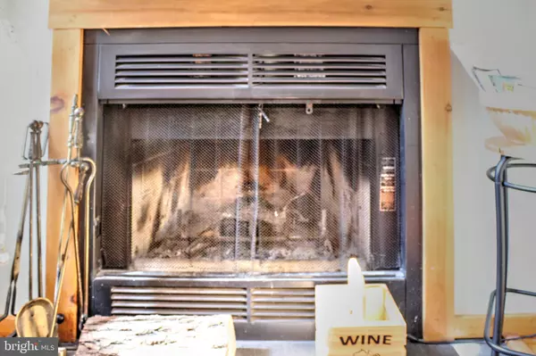 Basye, VA 22810,198 HOODS POINT RD