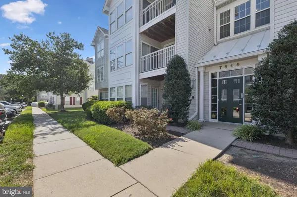 Alexandria, VA 22306,7515-E SNOWPEA CT #161