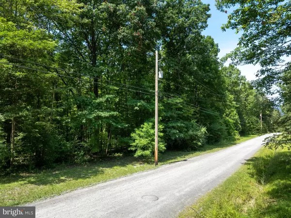 Blanchard, PA 16826,LOT 5 BALD EAGLE FOREST RD