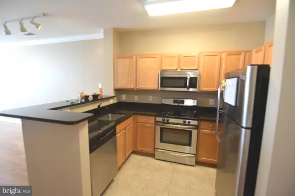 Reston, VA 20190,12000 MARKET ST #311