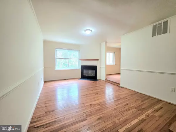 Columbia, MD 21045,5393 WHITE MANE