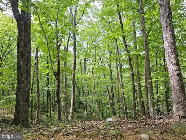 Madison, VA 22727,GAAR MOUNTAIN RD