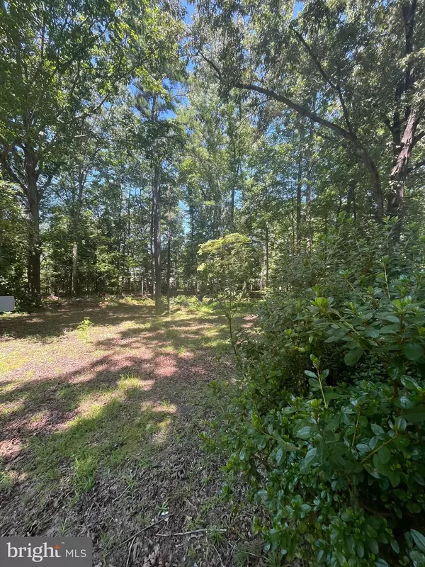 Prince George, VA 23875,BAXTER RD