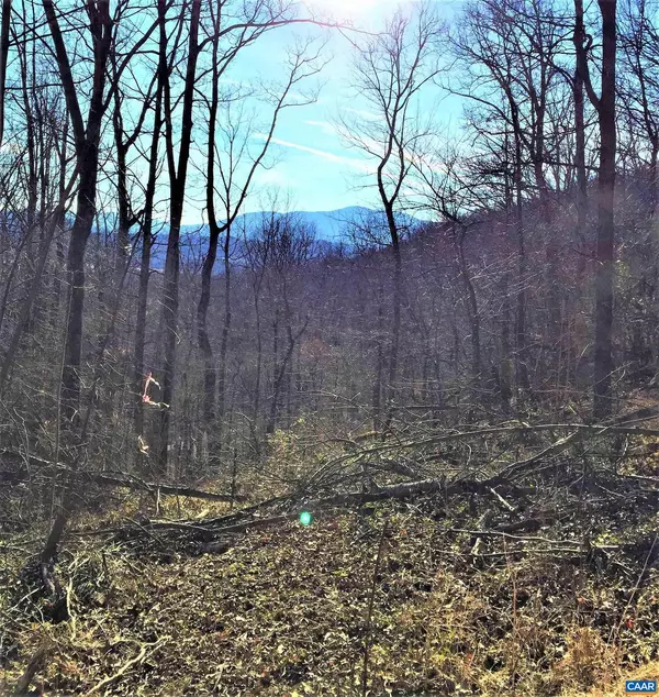 Greenwood, VA 22943,1 BLACKBERRY RIDGE RD