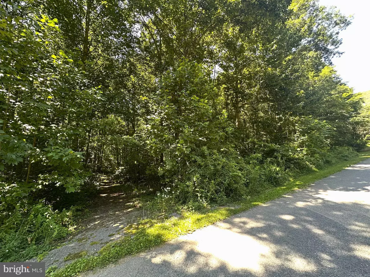 Saxton, PA 16678,LOT #19 WEAVER WOODS RD