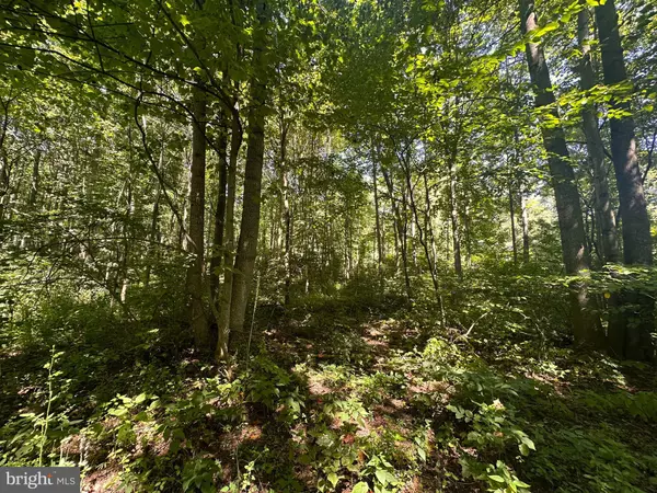 Saxton, PA 16678,LOT #19 WEAVER WOODS RD