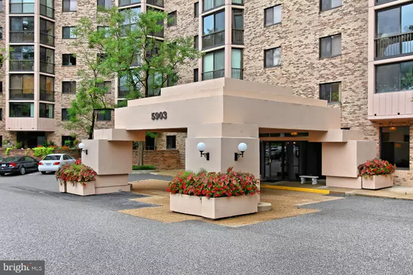 Alexandria, VA 22303,5903 MOUNT EAGLE DR #917