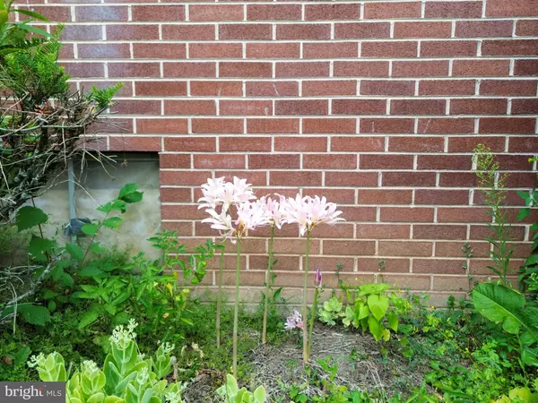 Hopewell, PA 16650,5959 RAYSTOWN RD