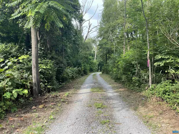 Afton, VA 22920,BLOCK A LOT 1 SWANNANOA LN #1