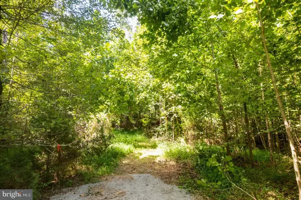 Madison, VA 22727,00-TBD W HOOVER