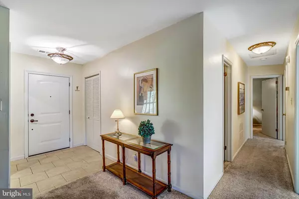 Alexandria, VA 22312,6425 MONTROSE ST