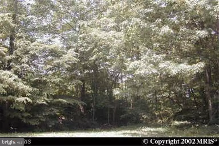 Chestertown, MD 21620,TONOPAH RD.