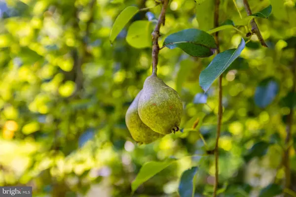 Great Falls, VA 22066,548 RIVER BEND RD