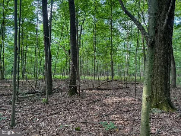 Duncannon, PA 17020,0 MAHANOY VALLEY RD #LOT 1