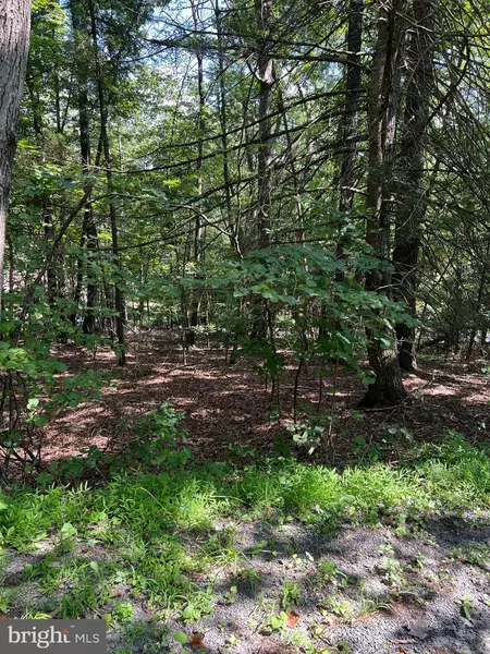 0 CRABAPPLE, Mount Jackson, VA 22842