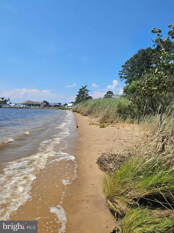 Tyaskin, MD 21865,0 CLARA RD