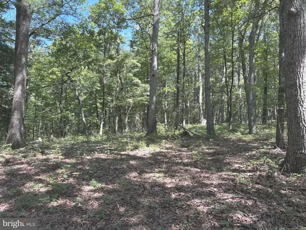 Augusta, WV 26704,5.05 AC HOY RD