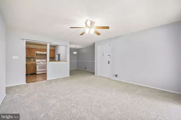 Lawrenceville, NJ 08648,6 VOSCEK