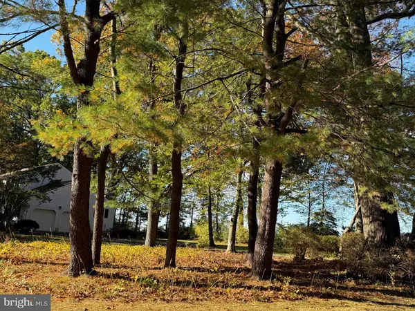 Plainsboro, NJ 08536,3 BEECHTREE LN