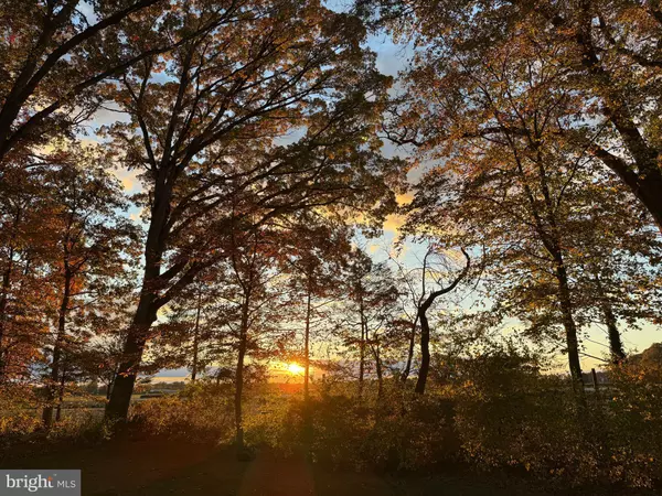 Plainsboro, NJ 08536,3 BEECHTREE LN