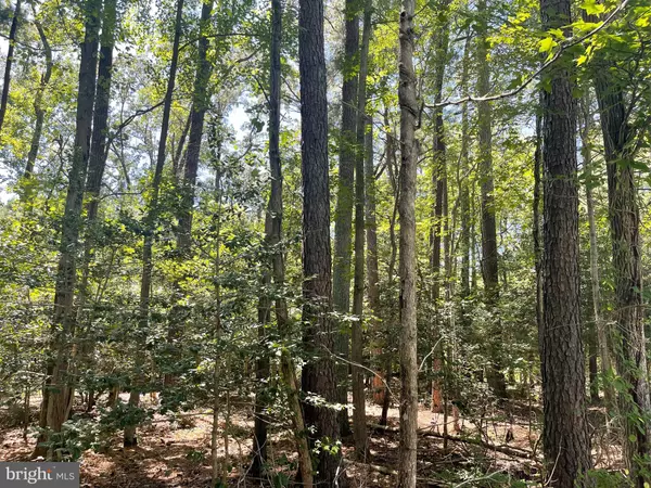 Stevensville, MD 21666,224 WICOMICO RD