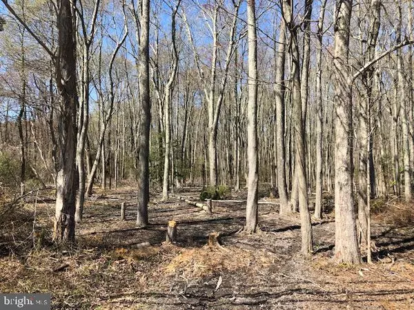 Shady Side, MD 20764,6118 SHADY SIDE RD
