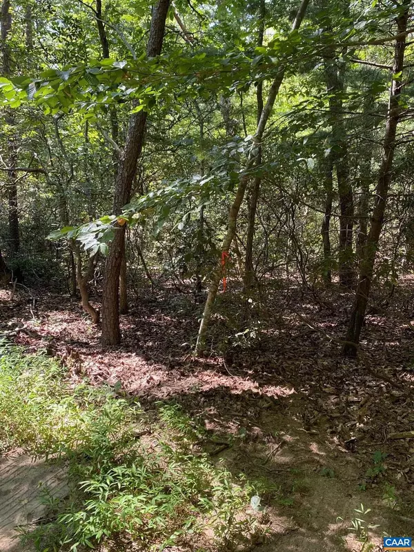 Charlottesville, VA 22911,TBD LAUREL COVE RD