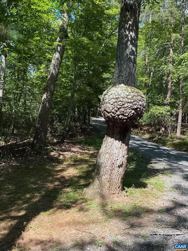 Charlottesville, VA 22911,TBD LAUREL COVE RD