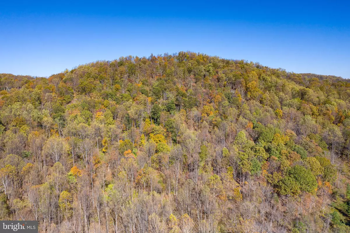 Charlottesville, VA 22903,LOT 37 BLANDEMAR DR