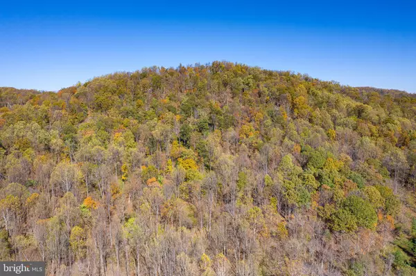 LOT 37 BLANDEMAR DR, Charlottesville, VA 22903