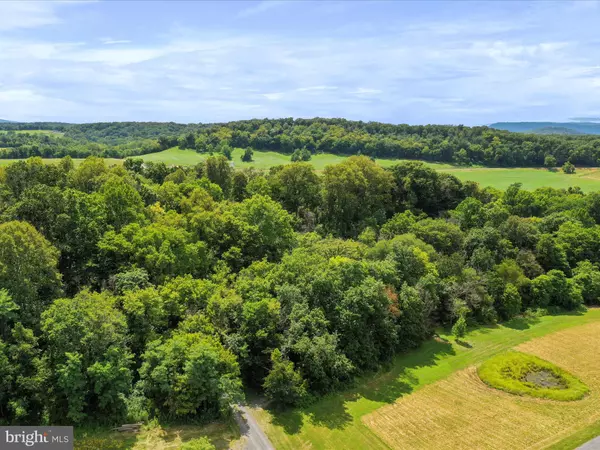 Strasburg, VA 22657,TBD SANDY HOOK RD