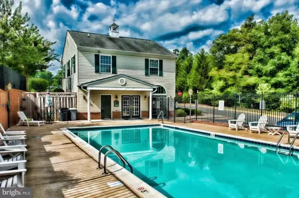 Stafford, VA 22554,50 BELLADONNA